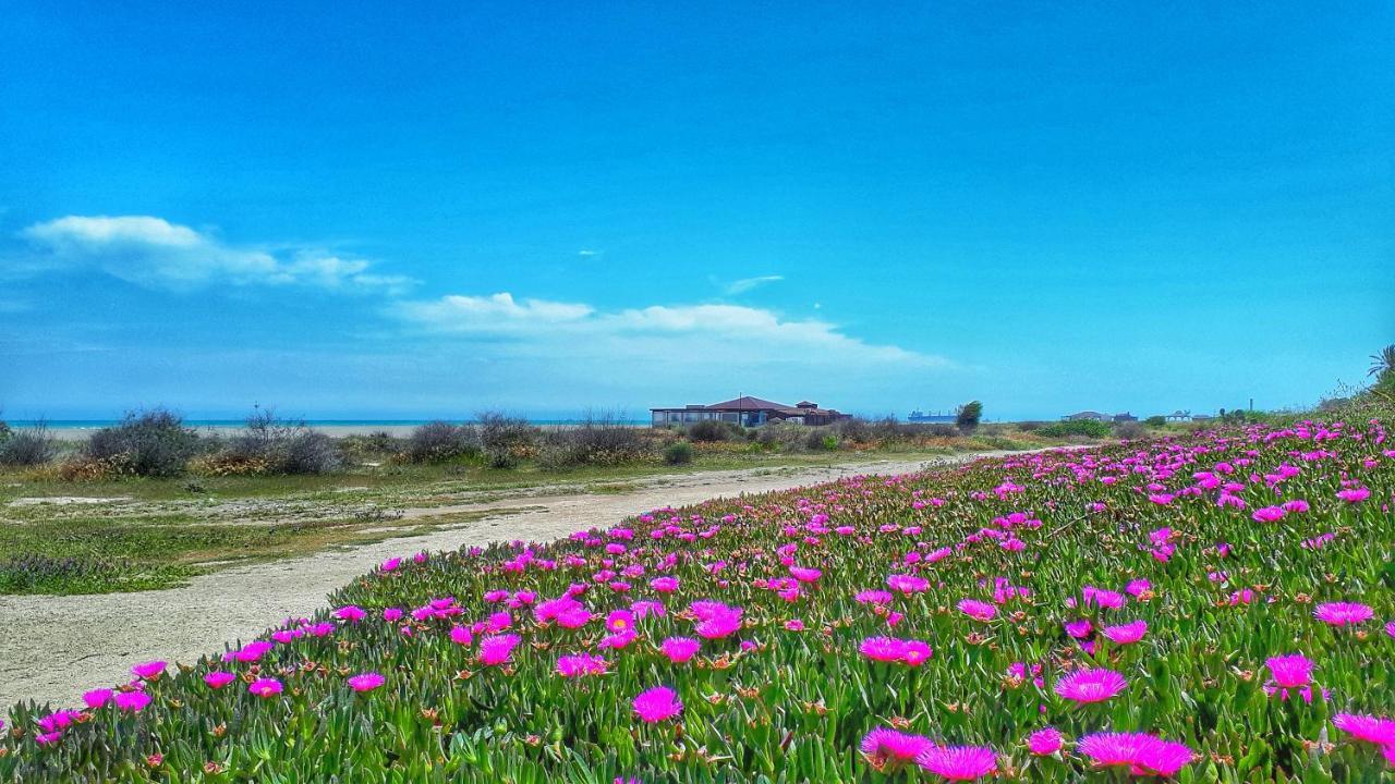 Ferienwohnung Atico Pinar De Garrucha Con Vistas Al Mar-Gran Terraza Exterior foto